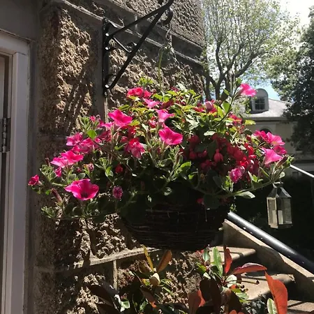 Holbein House Bed & Breakfast 3*